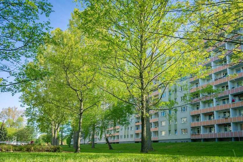 Wohnung zum Mieten in Chemnitz 407 € 69.93 m²