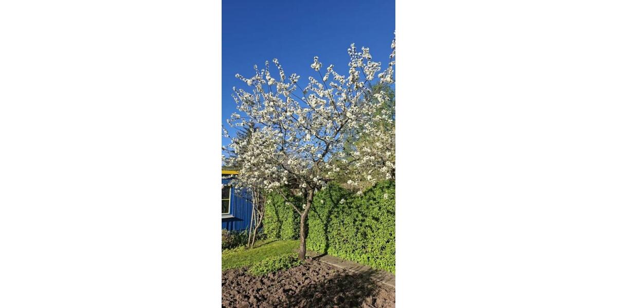 Grundstück Chemnitz Rabenstein - 800&euro; | Angebot:24367154