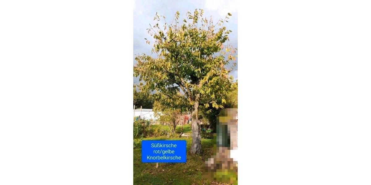 Grundstück Chemnitz Rabenstein - 800&euro; | Angebot:24367154