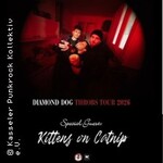 Diamond Dog + Kittens on Catnip