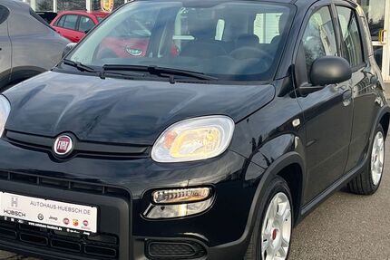 Fiat Panda 1.500 km 14.590 € Chemnitz 09130