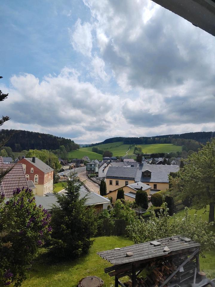 EFH großes Einfamilienhaus mit 3 Garagen und Grundstück