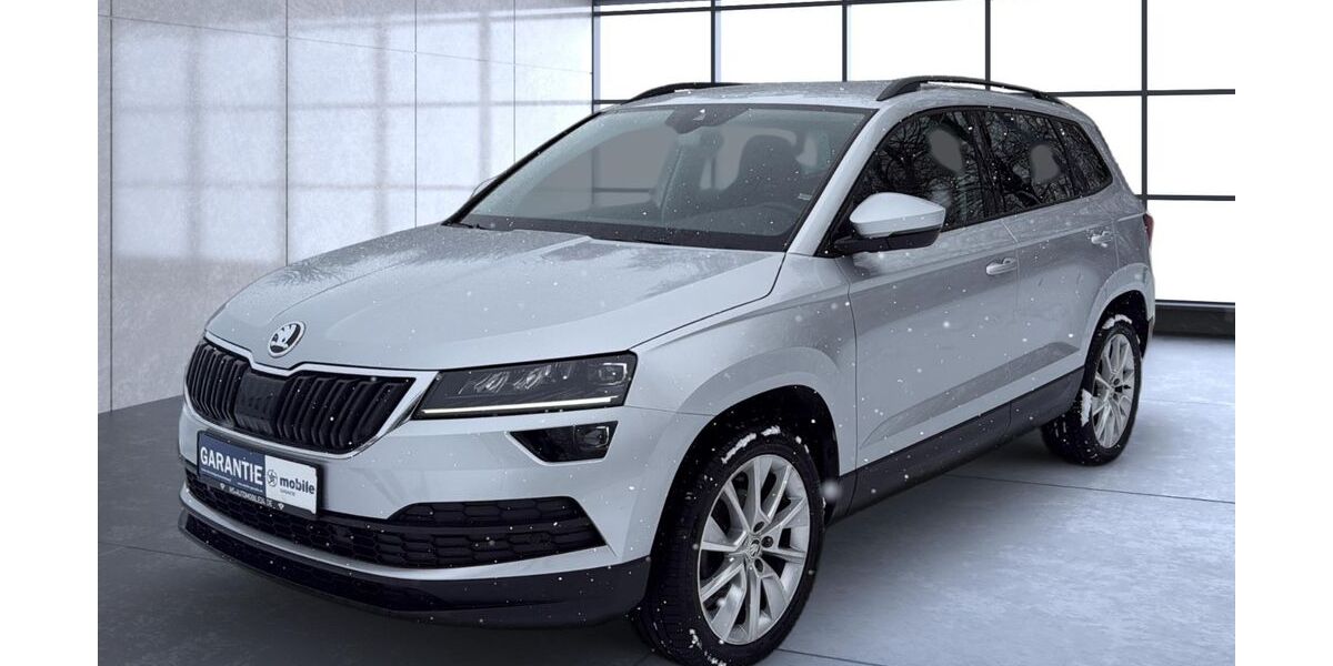 Skoda Karoq 81.800 km 19.500 &euro; Brand-Erbisdorf 09618