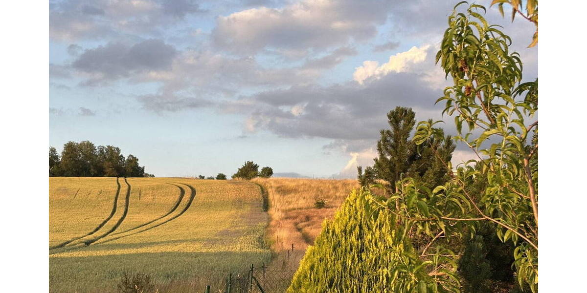 Einfamilienhaus Chemnitz Adelsberg - 7 Zimmer, 220 m&sup2;, 790.000&euro; | Angebot:26065018